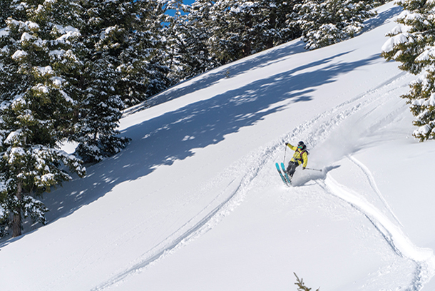 A skier wearing a yellow ski jacket skiing down a run with snow-capped trees all around.