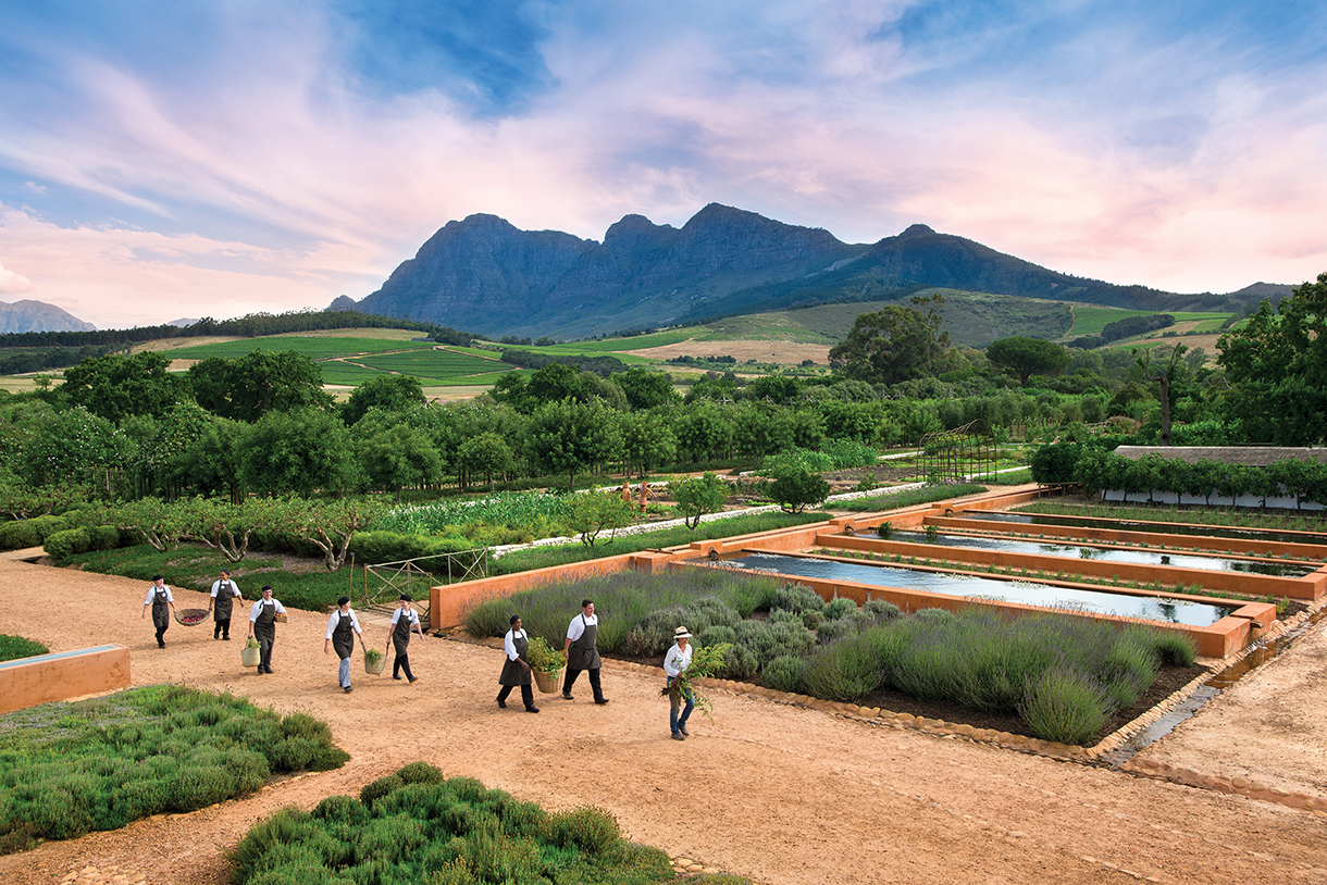 A group of people walking in a large farming garden with mountains in the background