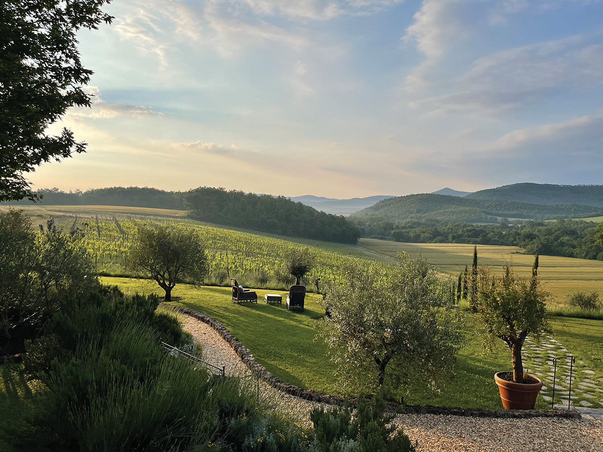 Serene, picturesque landscape with sunny, blue sky, green grass field, a pebble path, a farm, and many trees