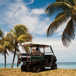 Two people driving a golf cart exploring a tropical beach that overlooks the ocean