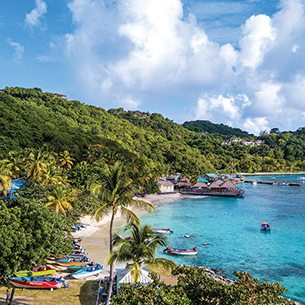 Island beach with palm trees and colorful boats