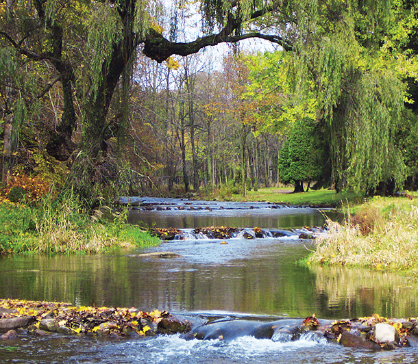 A serene creek with water flowing through large rocks, surrounded by lush trees and peaceful natural landscape.