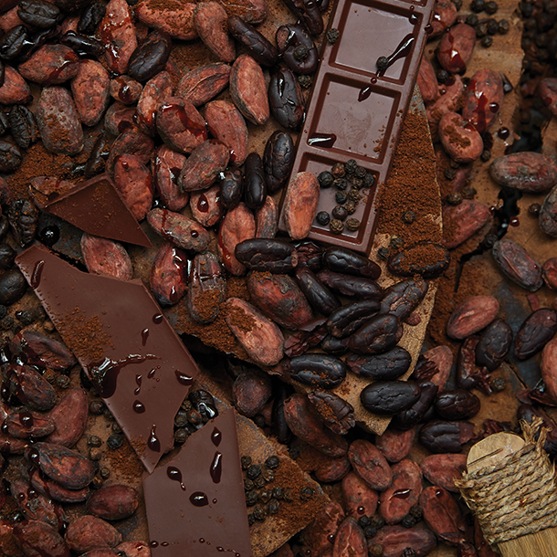 A close-up image of cocoa beans, nibs, chocolate bars, and broken pieces of chocolate. There are also a few black peppercorns scattered throughout. The chocolate is dark and rich, with some pieces melting and dripping.