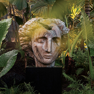 A weathered stone sculpture of a human head, partially obscured by lush tropical foliage, creating a mysterious and intriguing scene.