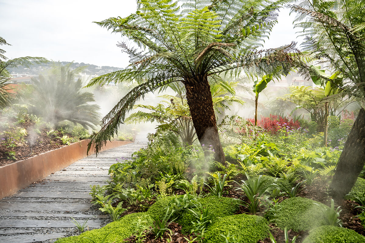 A lush green garden with tall palm trees and various plants in bloom with a pathway that leads to a pool. 